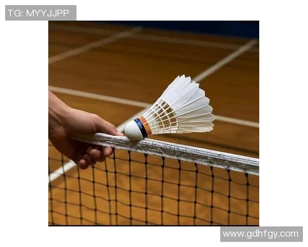 羽毛球新手必看：全面提升个人能力的入门技巧与训练方法指南